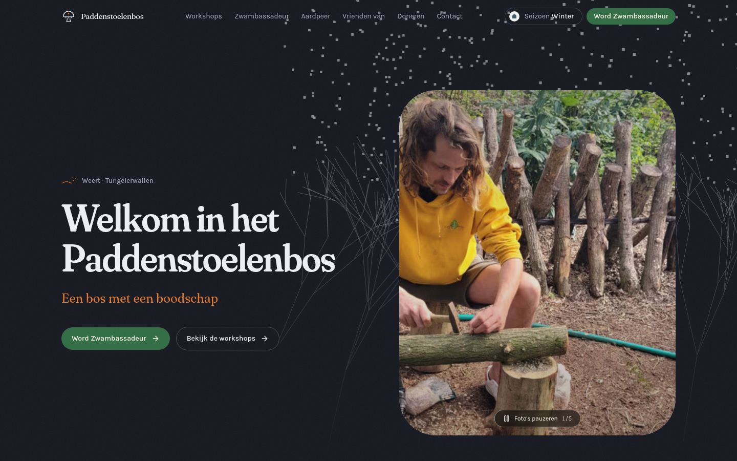 The same home page in the winter palette after dark: pale text and grey-white spores on a deep blue-black ground.